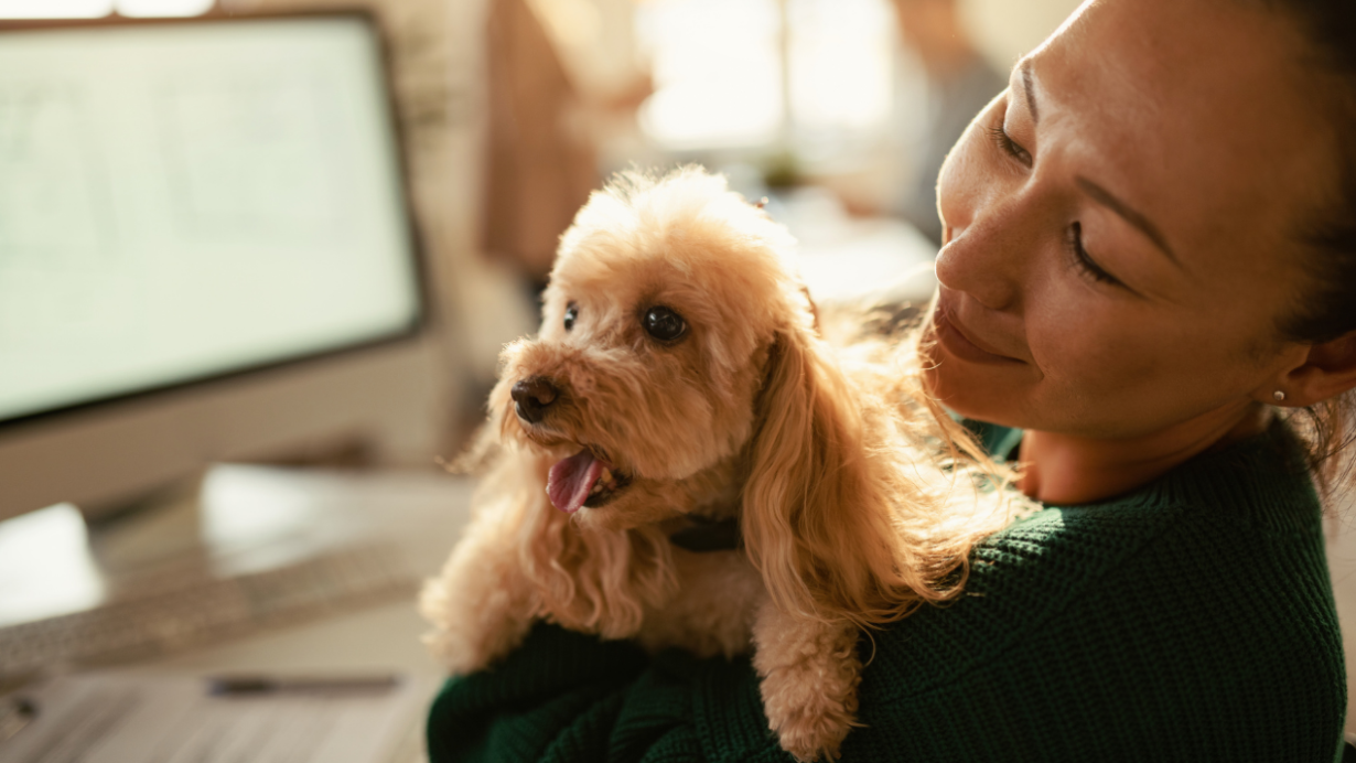 Independent veterinary practice owner reviewing buying group membership benefits